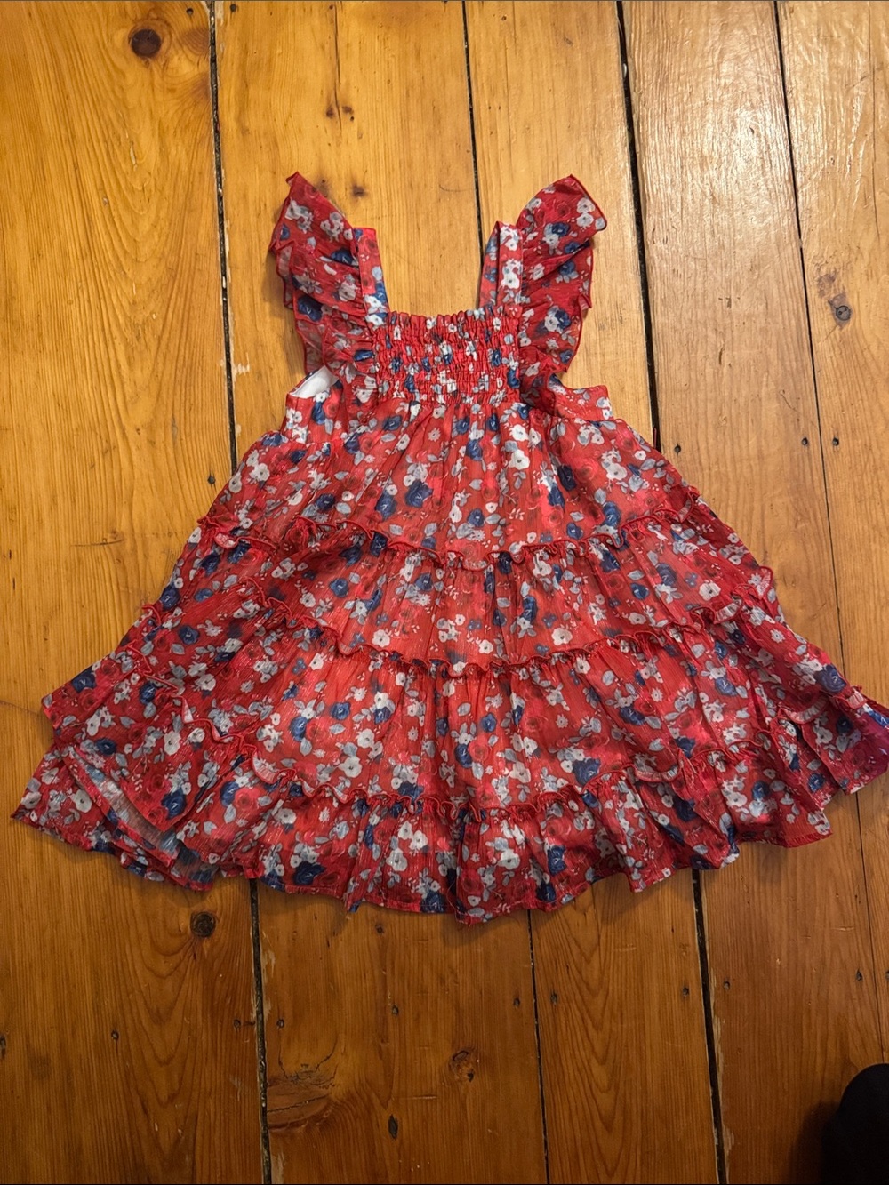 Cheeky Plum Brielle Shimmer Dress - Red Floral Smocked Sundress